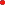 Blood Spot